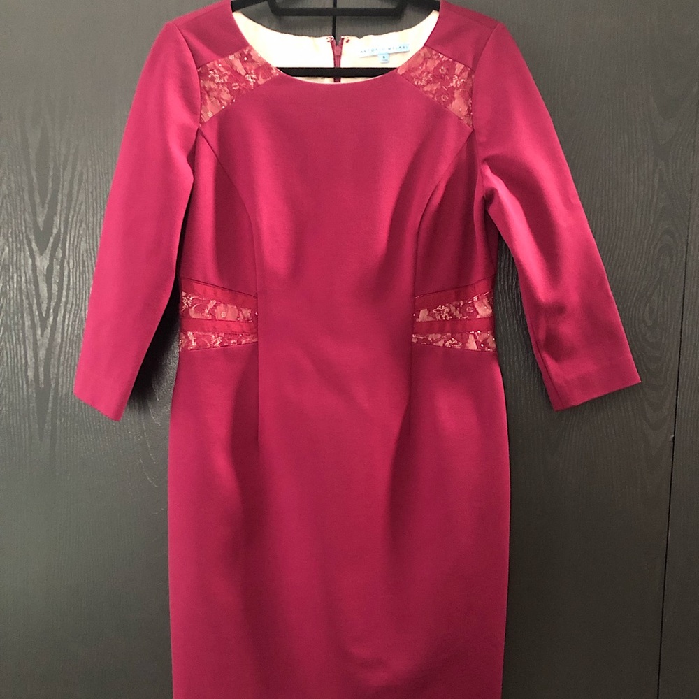 Antonio Melani Raspberry Pink Dress